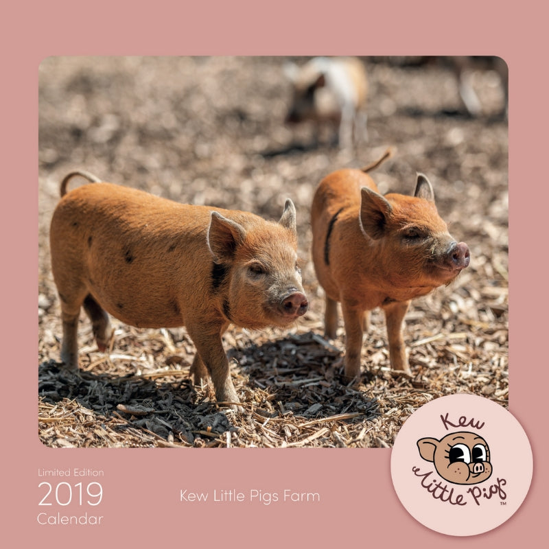 Kew Little Pigs Calendar 2019