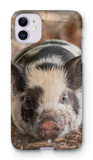 Lazy Pig Phone Case