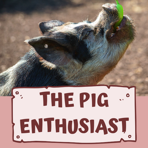 Pig Enthusiast