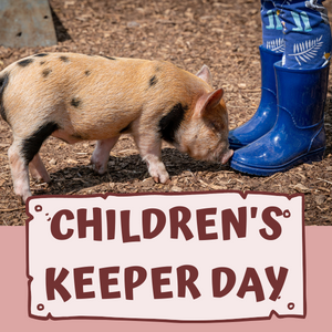Children's Pig Keeper Days - Holiday Camps