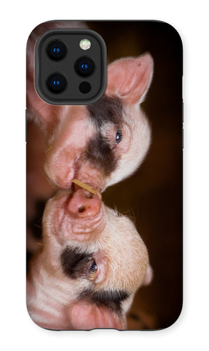 Kissing Piglets Premium Phone Case