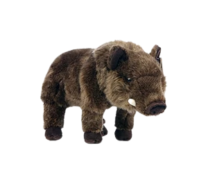 Boar Soft Toy (Large)