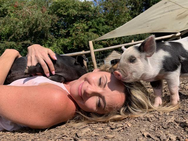Stressed parents take note! How animal petting sessions aren't just for kids this summer