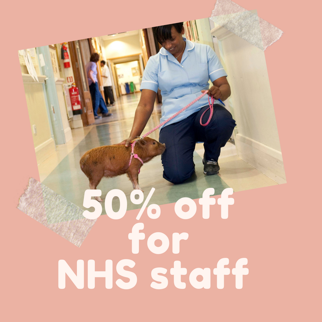 50% OFF PIGGY PET AND PLAY  FOR NHS STAFF