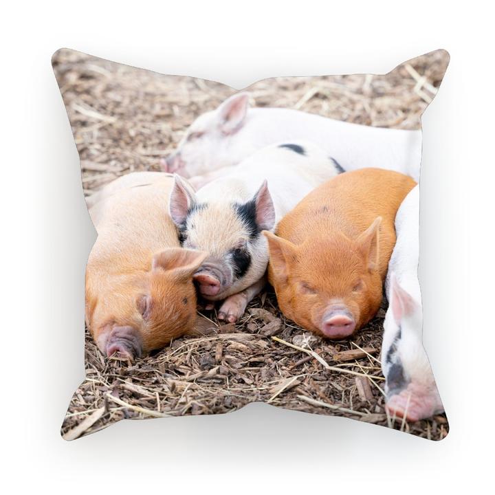 New Kew Little Pigs Mechandise