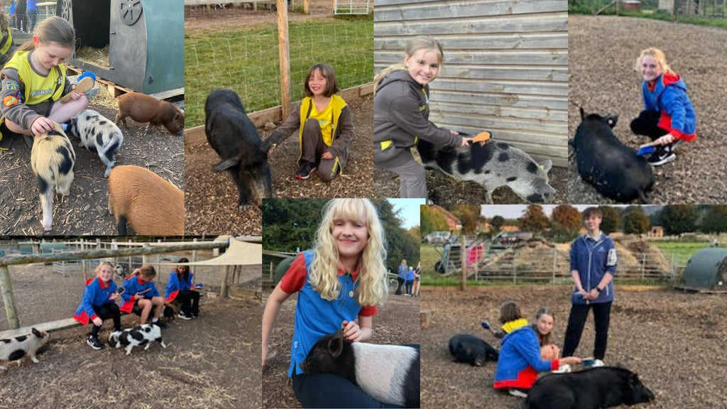 Wonderful visit to the farm for 50 Brownies and Guides