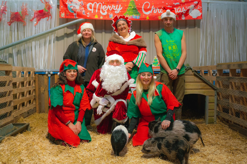 Santa and the Pigs was such a wonderful day, and it's all happening again this week!