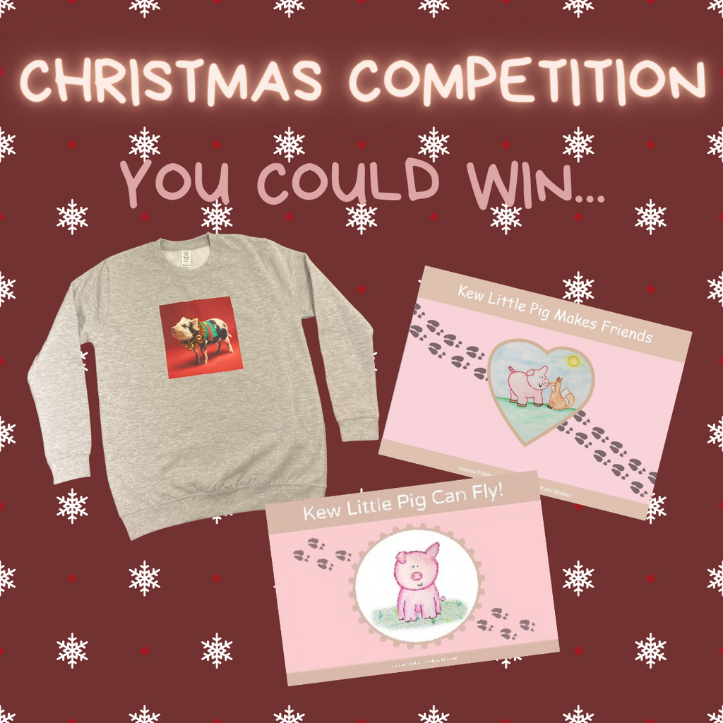 Christmas Competition!