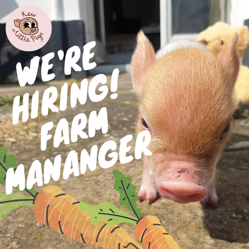 WE ARE HIRING! FARM MANANGER