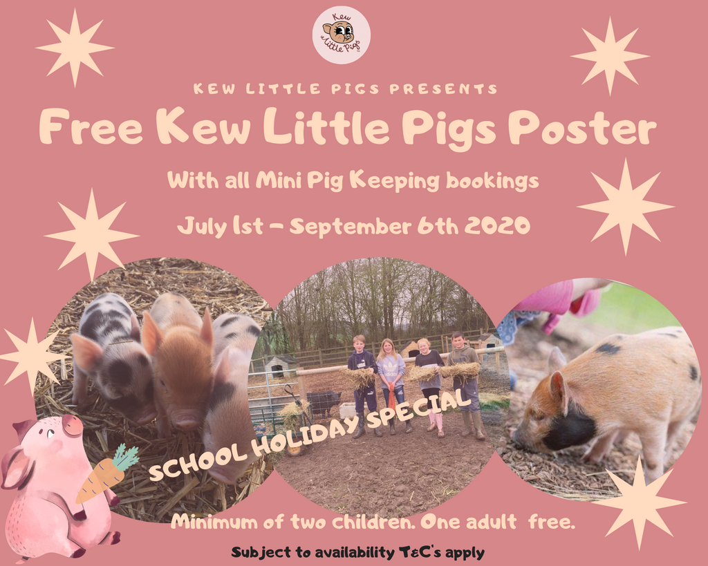 Free KLP poster with all mini pig keeping bookings