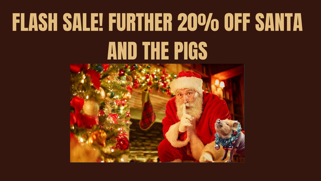 FLASH SALE! We are offering an extra 20% off our Santa and the Pigs events!