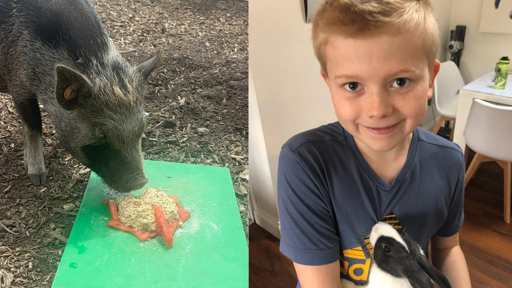George the pig celebrates first birthday in touching tribute to brave Bedford schoolboy who inspired so many