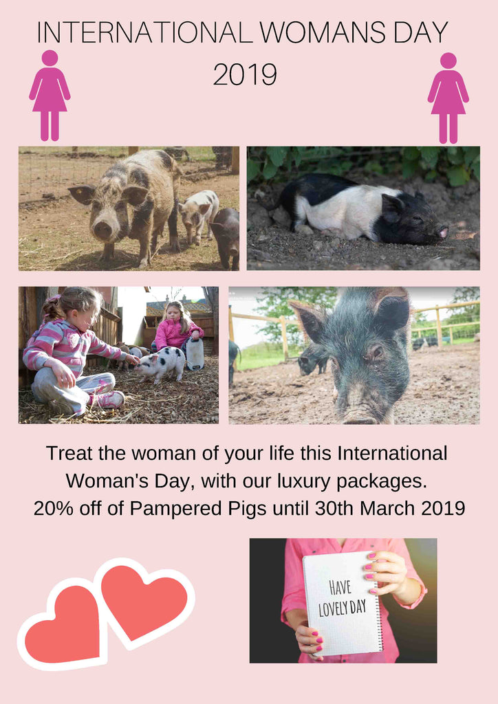 National Pig Day / International Woman's Day