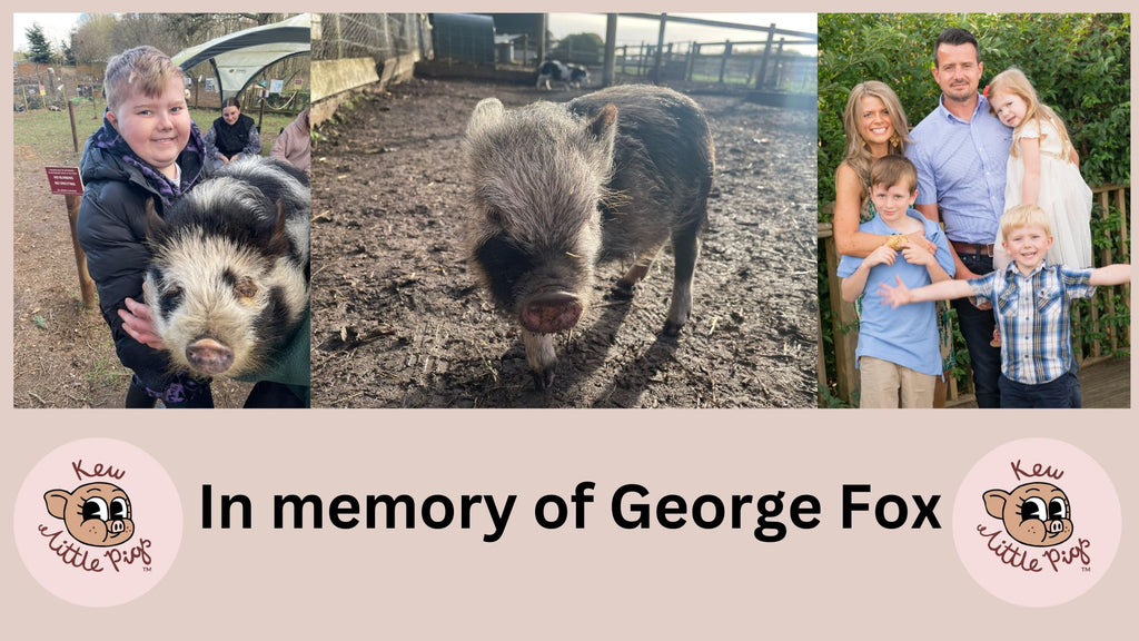 Family names Kew Little Pigs piglet "in honour of our lost son George"