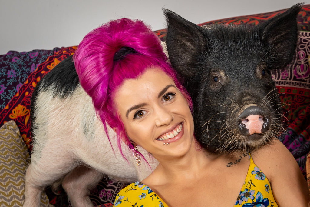 It's World Pig Week - the perfect time to welcome one into your home!