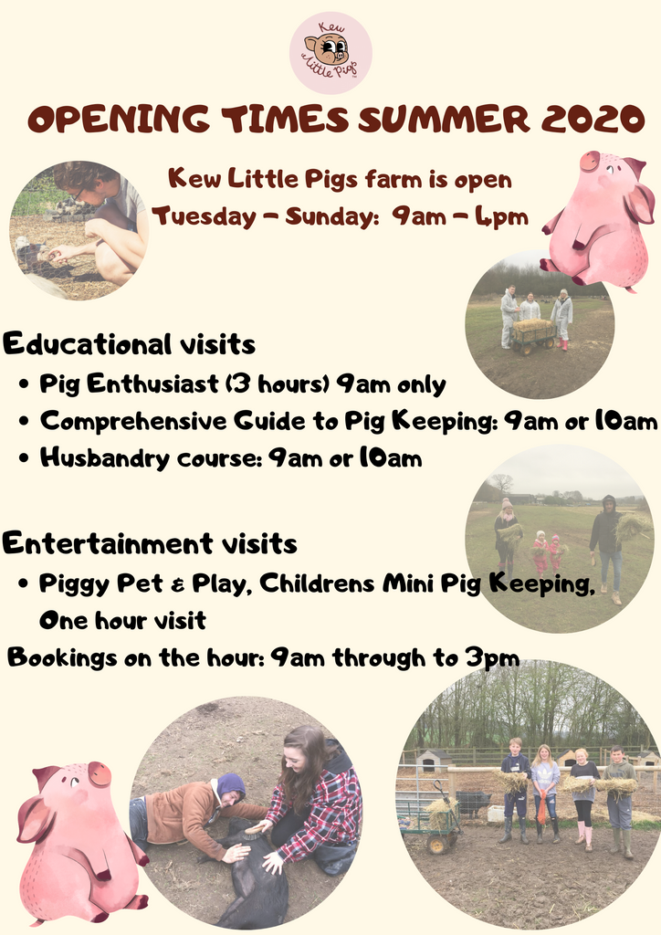 Kew Little Pigs opening times Summer 2020