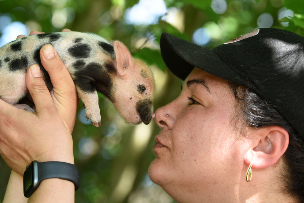 We are looking for a farm supervisor!