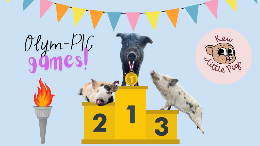 Olym-PIGS! We made a fun video to celebrate the Paris 2024 Games