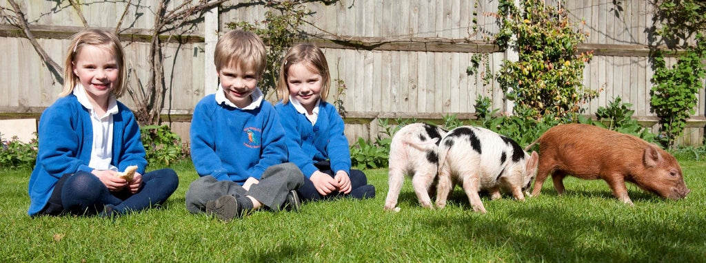 Educational Visits from Kew Little Pigs