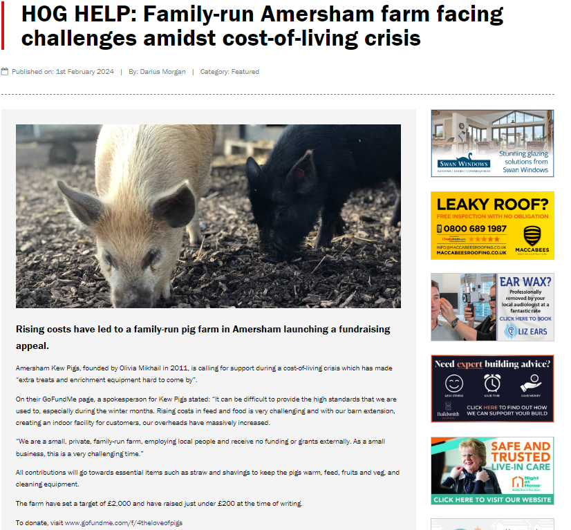 HOG HELP: Family-run Amersham farm facing challenges amidst cost-of-living crisis