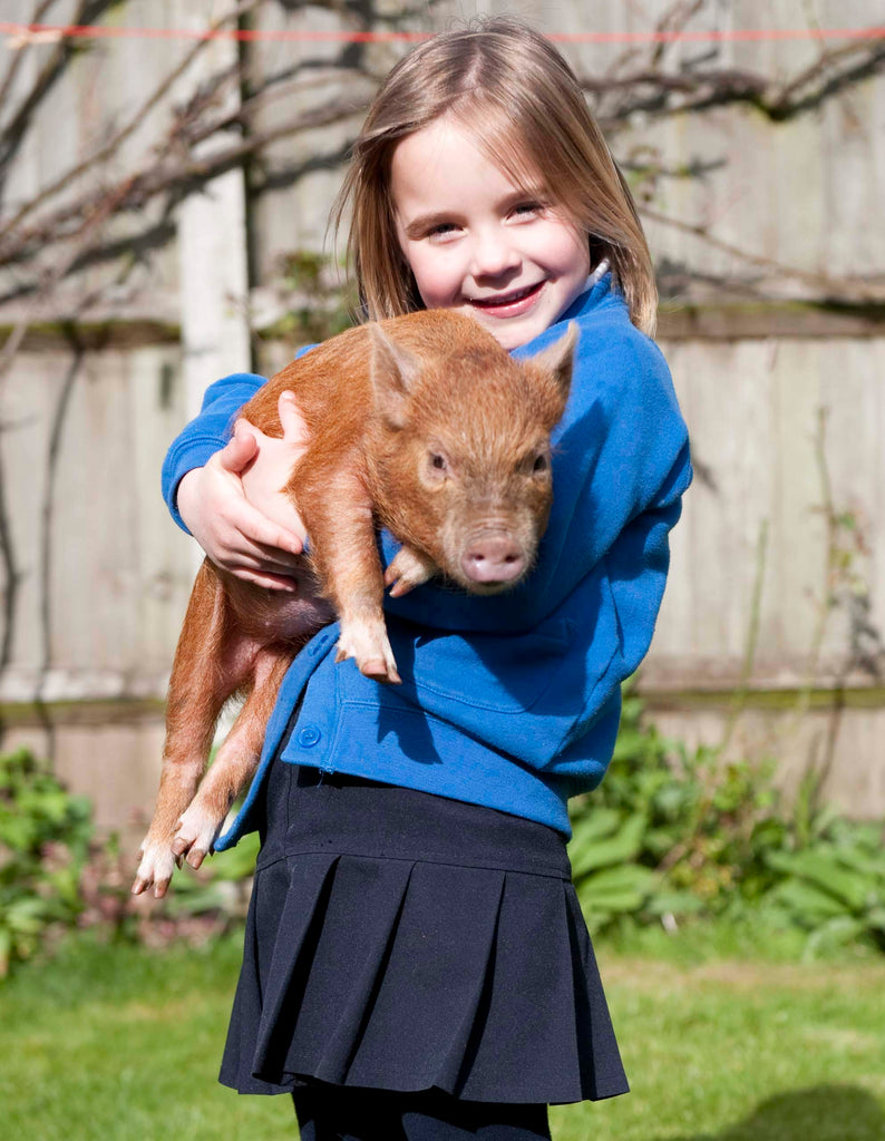 School visit's to Kew Little Pigs - Key stage 1 & 2