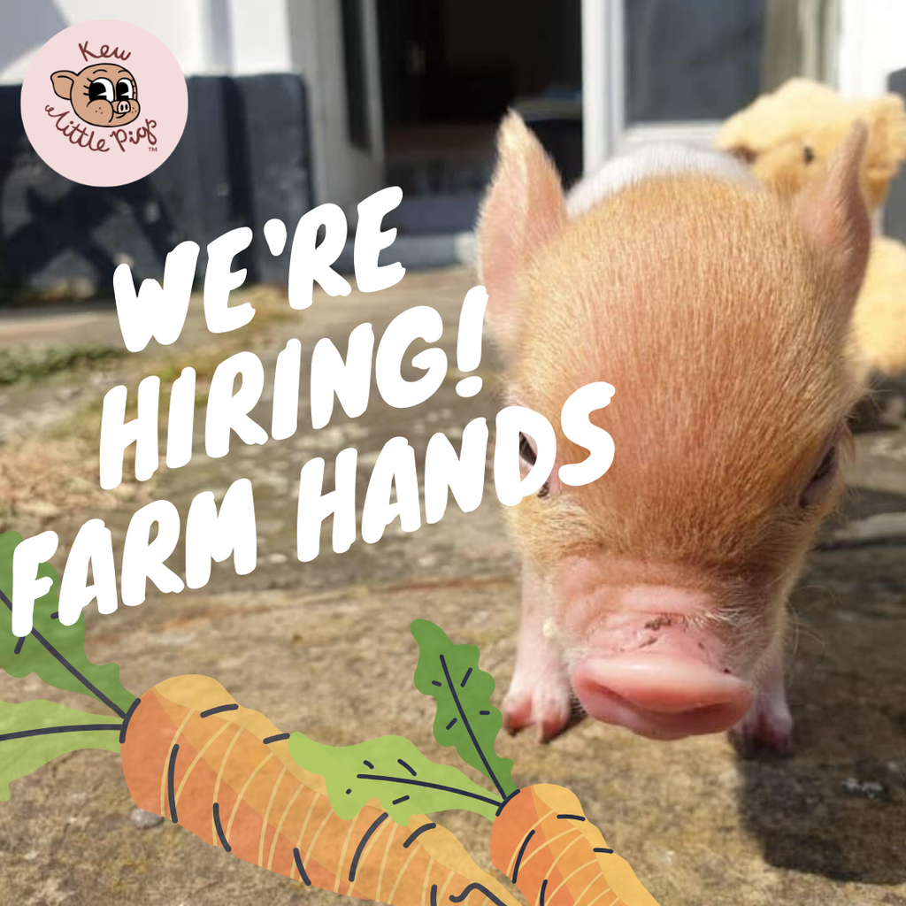 We're hiring FARM HANDS