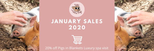 Promotional offers from Kew Little Pig.  January  - June 2020