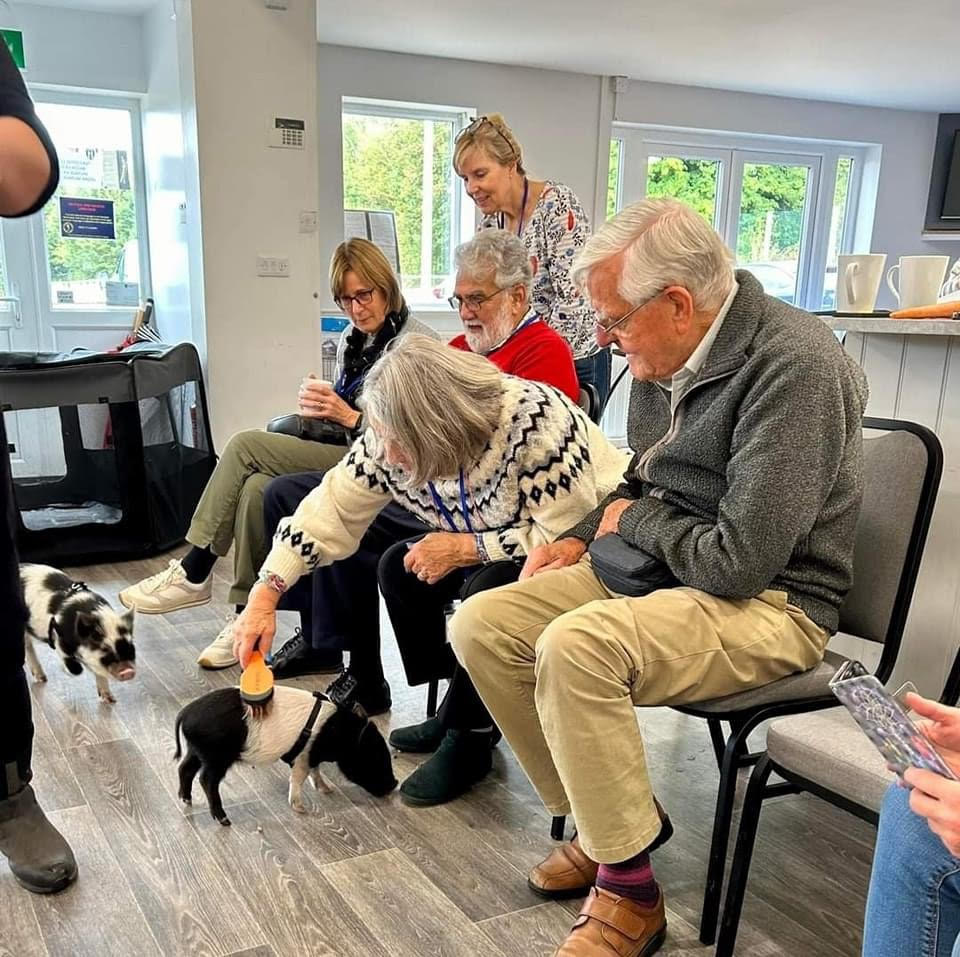 Our pigs were the stars at Amersham's Café 23