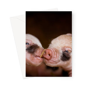 Kew Little Pigs Greeting Cards
