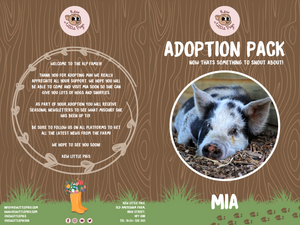 Adoption Bronze Mia