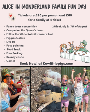 Alice In Wonderland Family Fun Day