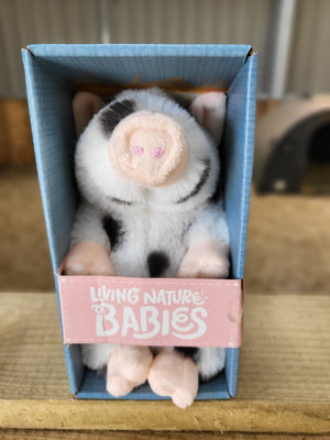 Baby Juliana Piglet in Box