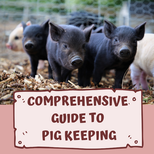 Comprehensive Guide to Pig Keeping