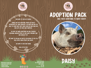 Adopt Daisy