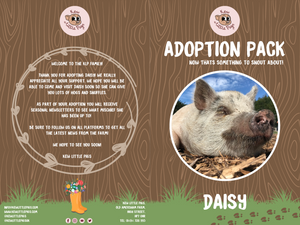 Adoption Bronze Daisy