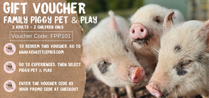 Family Piggy Pet & Play Voucher