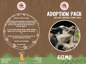 Adoption Bronze Gizmo