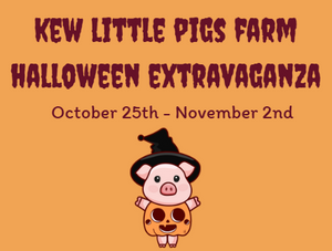 Halloween Extravaganza