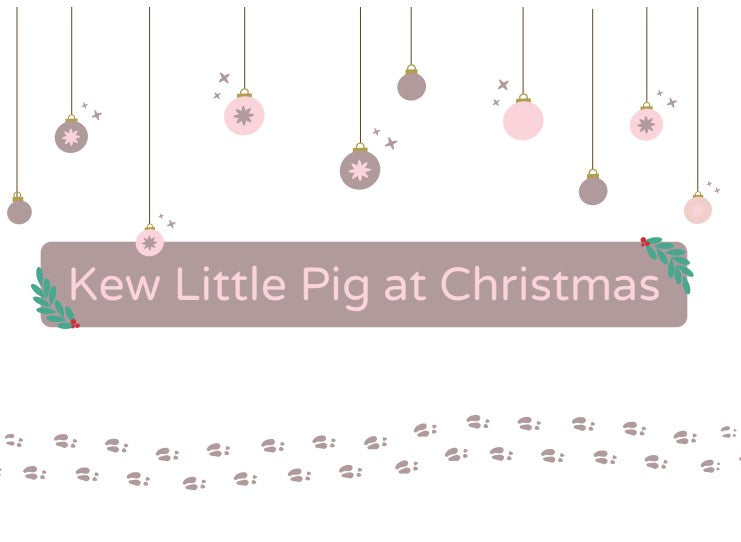 Book - Kew Little Pig at Christmas Book