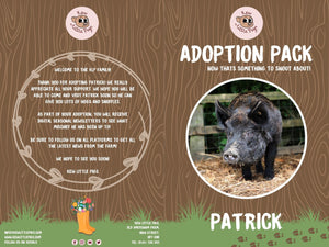 Adoption Bronze Patrick