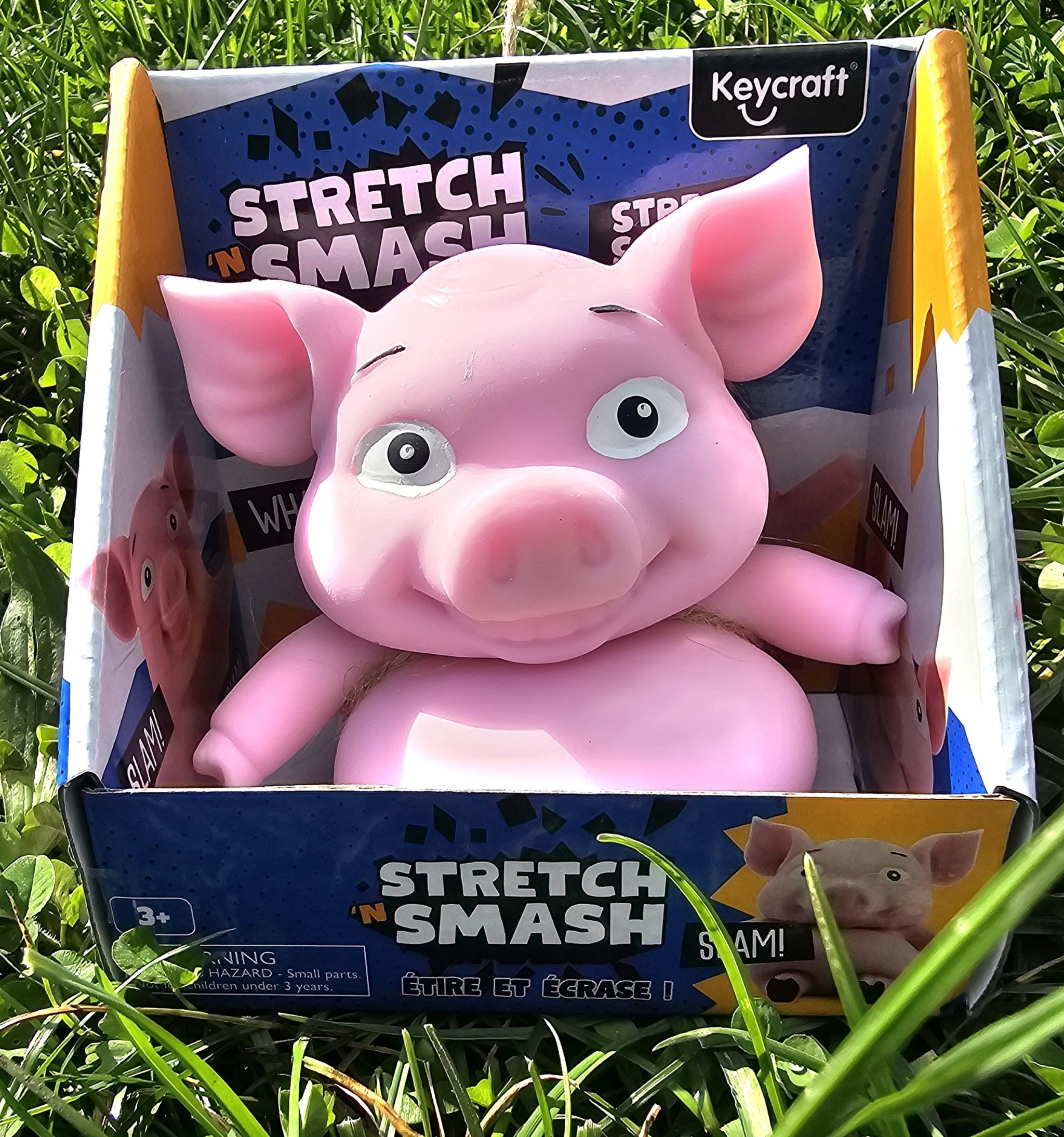 Stinky pig toy online