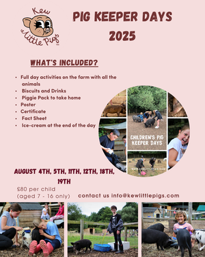 Children's Pig Keeper Days - Holiday Camps