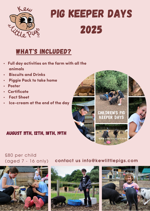 Children's Pig Keeper Days - Holiday Camps