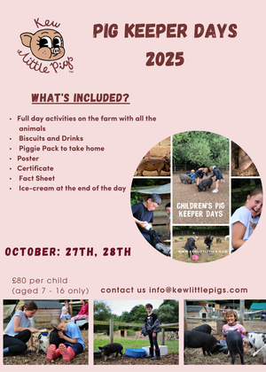 Children's Pig Keeper Days - Holiday Camps