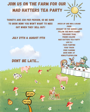 Alice In Wonderland Family Fun Day