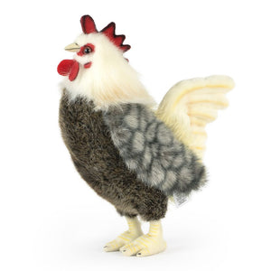 Cockerel Large