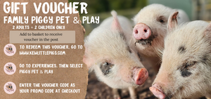 50% OFF Family Piggy Pet & Play Voucher