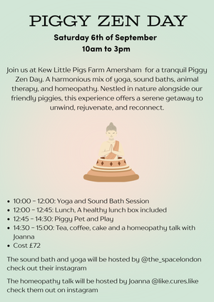 Piggy Zen Day