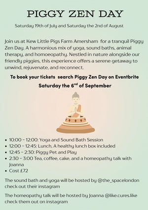 Piggy Zen Day