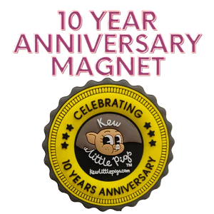 Magnet (10th Anniversary)